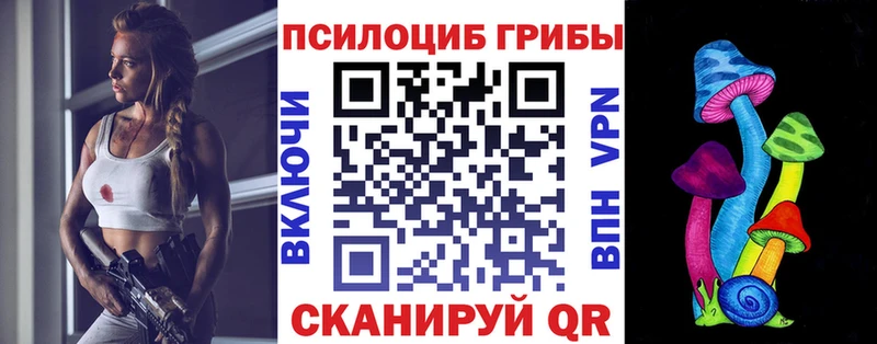 Купить  Сальск  Галлюциногенные грибы Psilocybe 