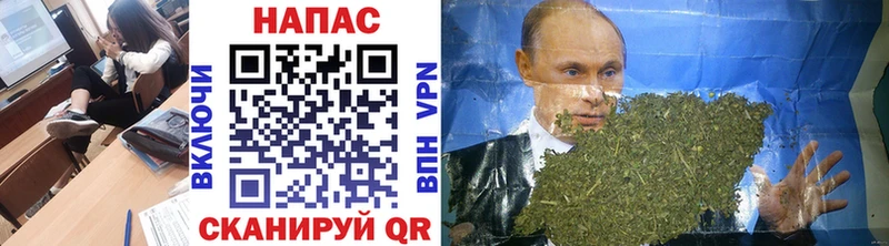 Бошки Шишки MAZAR Купить где Сальск